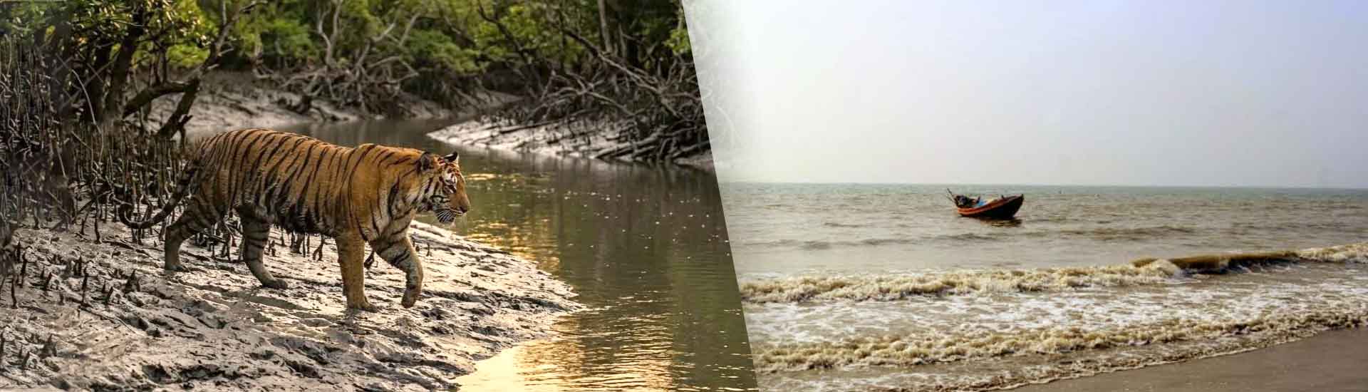 Sundarban And Mousuni A Perfect Mix Of Forest And Beach