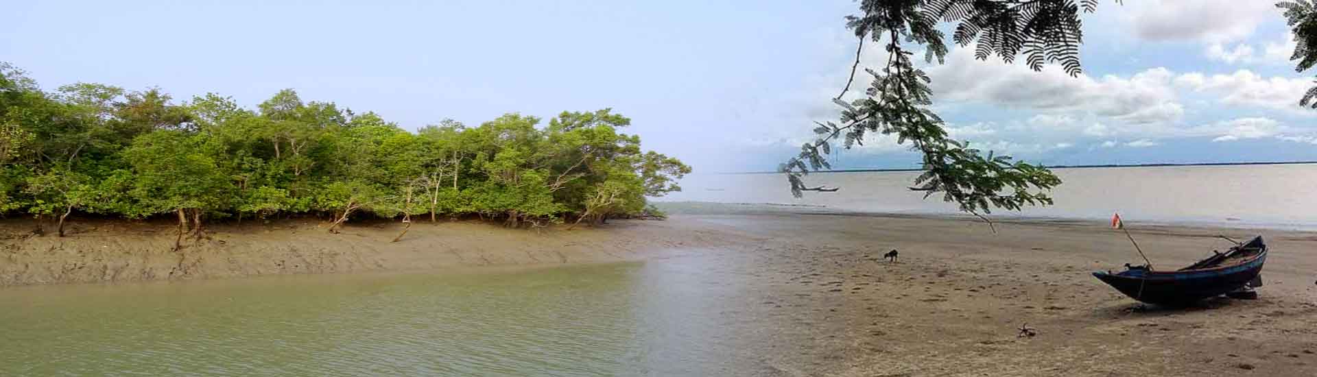 Weekend Wanderlust Exploring Sundarban And Mousuni